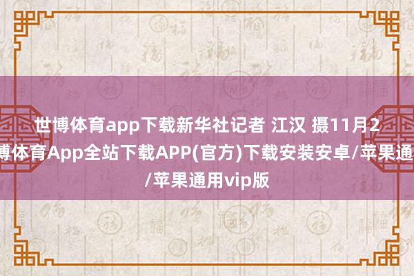 世博体育app下载　　新华社记者 江汉 摄　　11月25日-世博体育App全站下载APP(官方)下载安装安卓/苹果通用vip版
