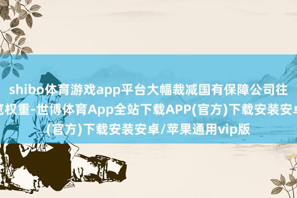 shibo体育游戏app平台大幅裁减国有保障公司往日度诡计见解阅览权重-世博体育App全站下载APP(官方)下载安装安卓/苹果通用vip版