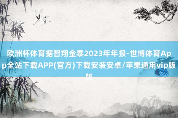 欧洲杯体育　　据智翔金泰2023年年报-世博体育App全站下载APP(官方)下载安装安卓/苹果通用vip版