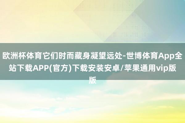 欧洲杯体育它们时而藏身凝望远处-世博体育App全站下载APP(官方)下载安装安卓/苹果通用vip版