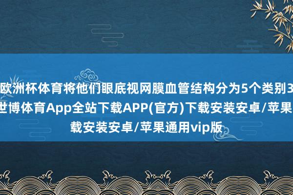 欧洲杯体育将他们眼底视网膜血管结构分为5个类别30项主义-世博体育App全站下载APP(官方)下载安装安卓/苹果通用vip版