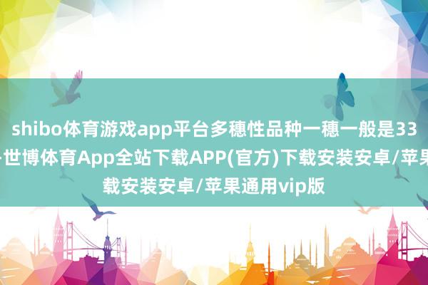 shibo体育游戏app平台多穗性品种一穗一般是33-35粒麦粒-世博体育App全站下载APP(官方)下载安装安卓/苹果通用vip版