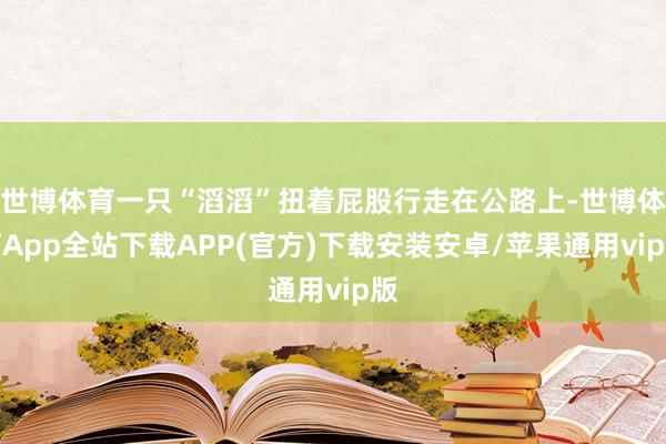 世博体育一只“滔滔”扭着屁股行走在公路上-世博体育App全站下载APP(官方)下载安装安卓/苹果通用vip版