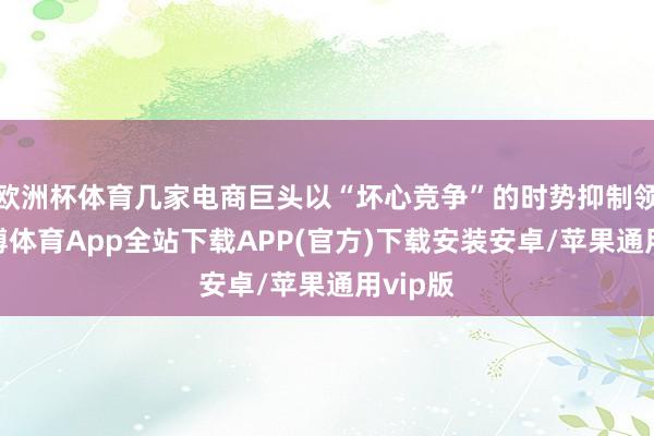 欧洲杯体育几家电商巨头以“坏心竞争”的时势抑制领潮-世博体育App全站下载APP(官方)下载安装安卓/苹果通用vip版