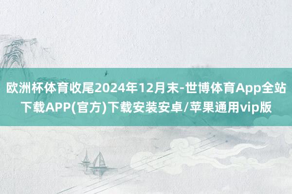 欧洲杯体育收尾2024年12月末-世博体育App全站下载APP(官方)下载安装安卓/苹果通用vip版