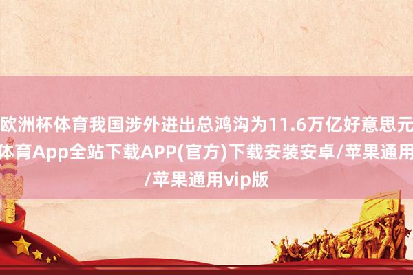 欧洲杯体育我国涉外进出总鸿沟为11.6万亿好意思元-世博体育App全站下载APP(官方)下载安装安卓/苹果通用vip版
