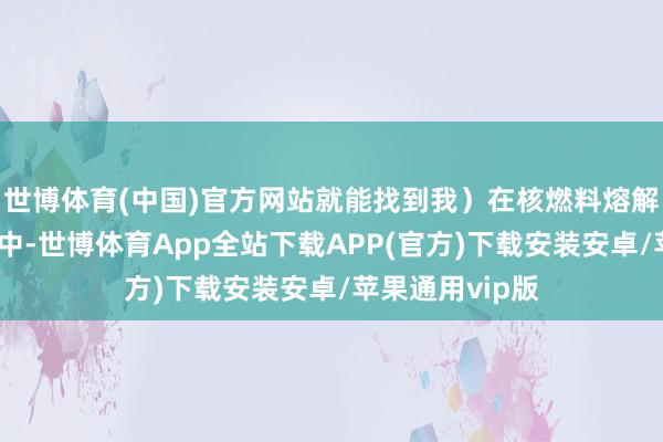 世博体育(中国)官方网站就能找到我）在核燃料熔解器的欢娱酸液中-世博体育App全站下载APP(官方)下载安装安卓/苹果通用vip版