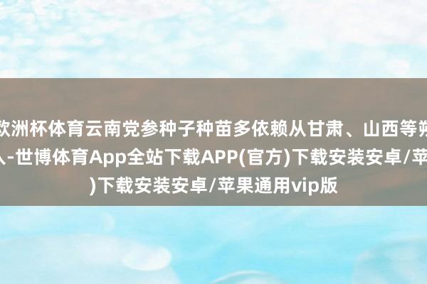 欧洲杯体育云南党参种子种苗多依赖从甘肃、山西等朔方主产区调入-世博体育App全站下载APP(官方)下载安装安卓/苹果通用vip版